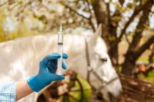 botulism in horses symptoms