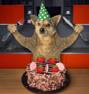 can dogs eat strawberries tops