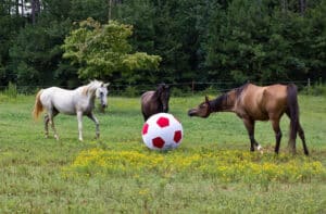 horse toys
