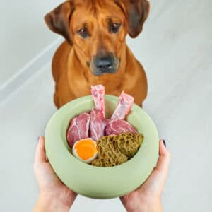 best meat for dogs