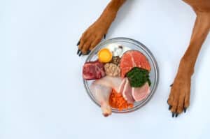 what meat is best for dogs