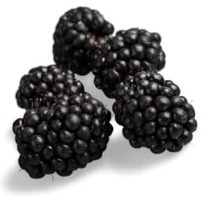 can dogs eat blackberry