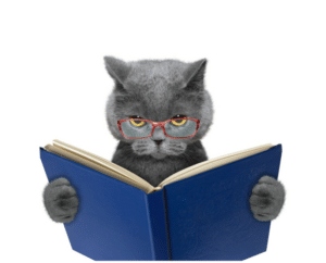 historical cat