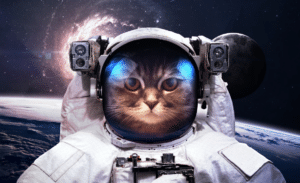 space cat names