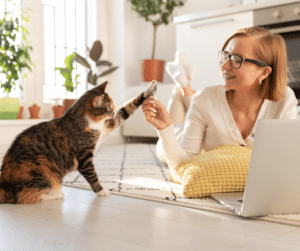 cat play