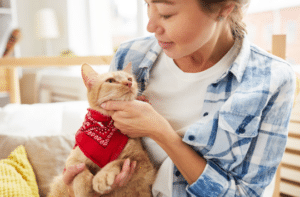 cat dewormer