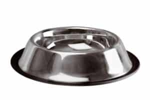 water bowl