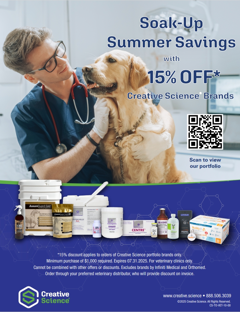 July 2025 Offer