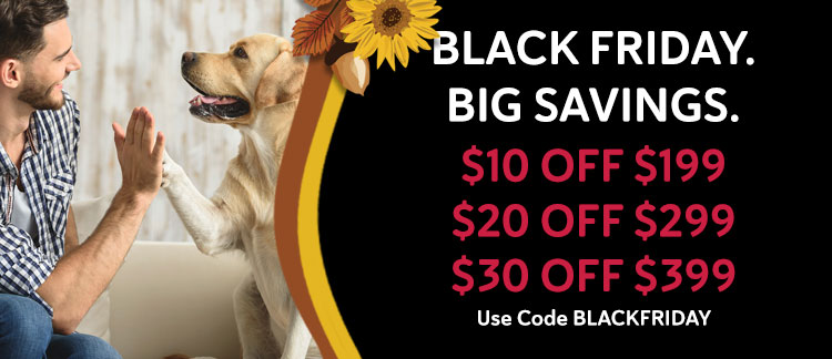 Black Friday Promo Offer