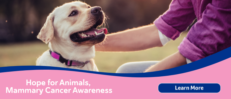 Pet Breast Cancer Awareness Month