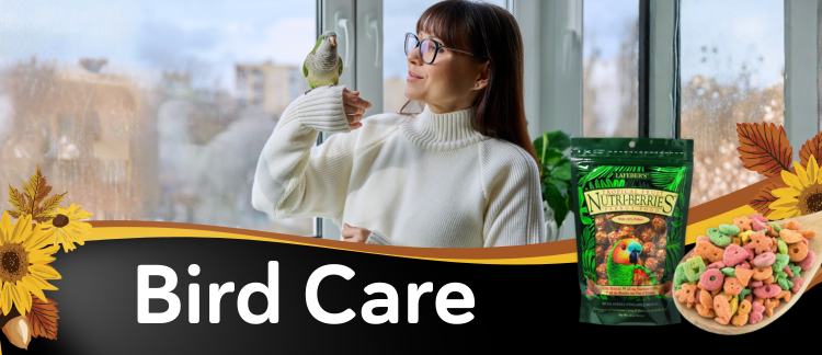 Bird Care