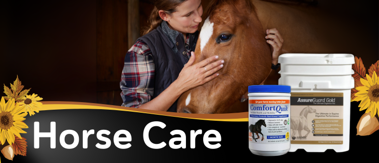 Horse Care