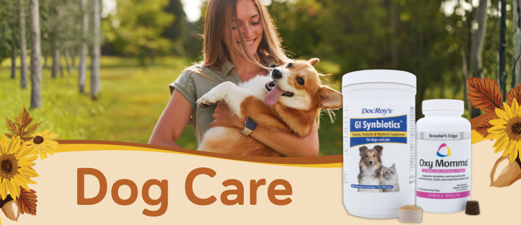 Dog Care
