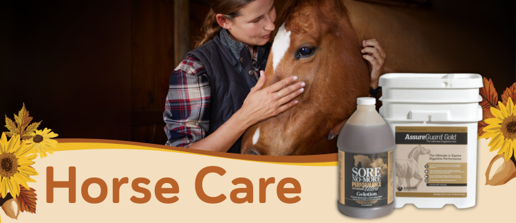 Horse Care