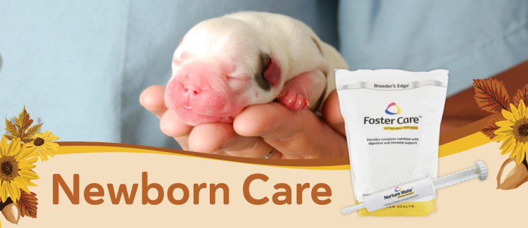 Newborn Care