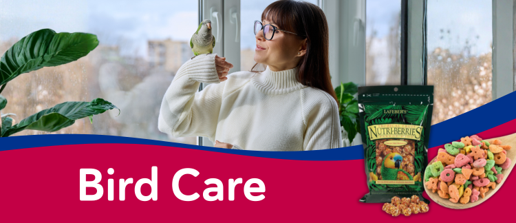 Bird Care