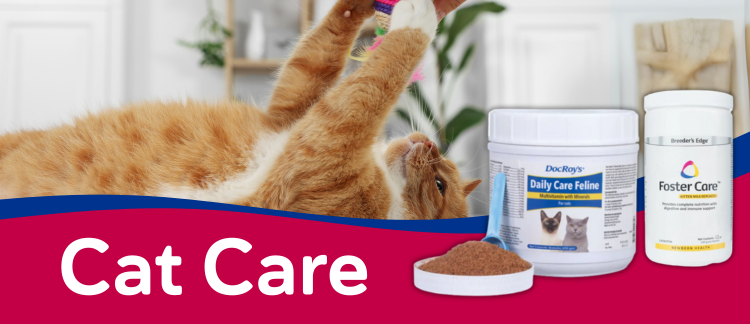 Cat Care
