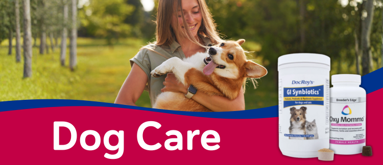 Dog Care