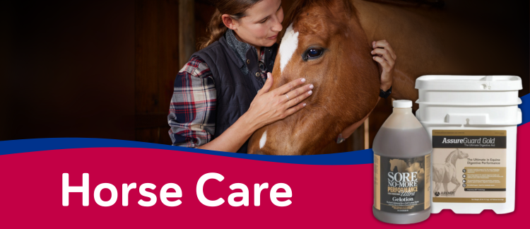 Horse Care