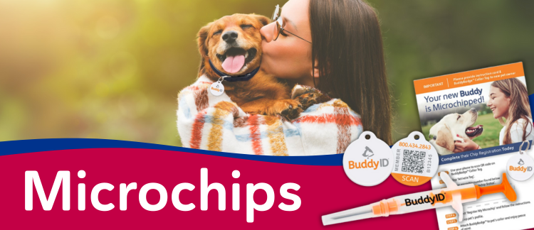 Microchips