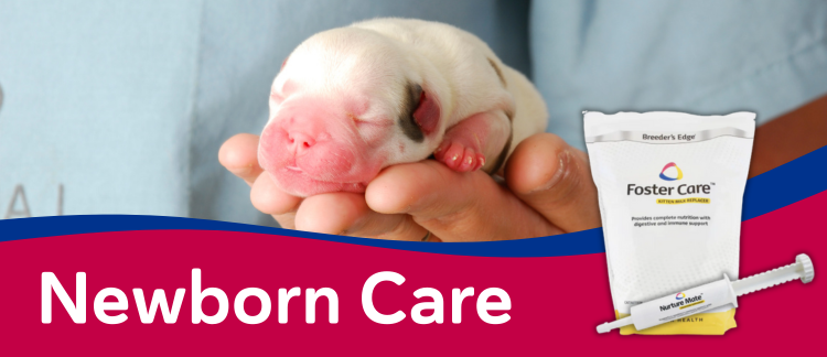 Newborn Care