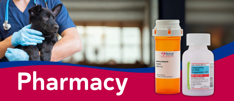 Pharmacy