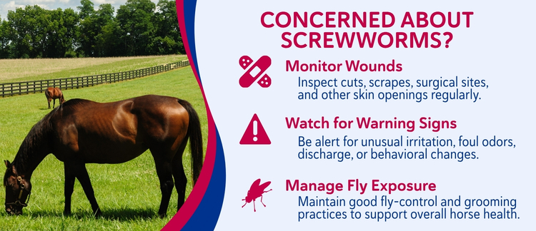 Screwworm Prevention