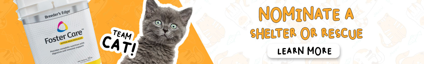 Cat Supplies