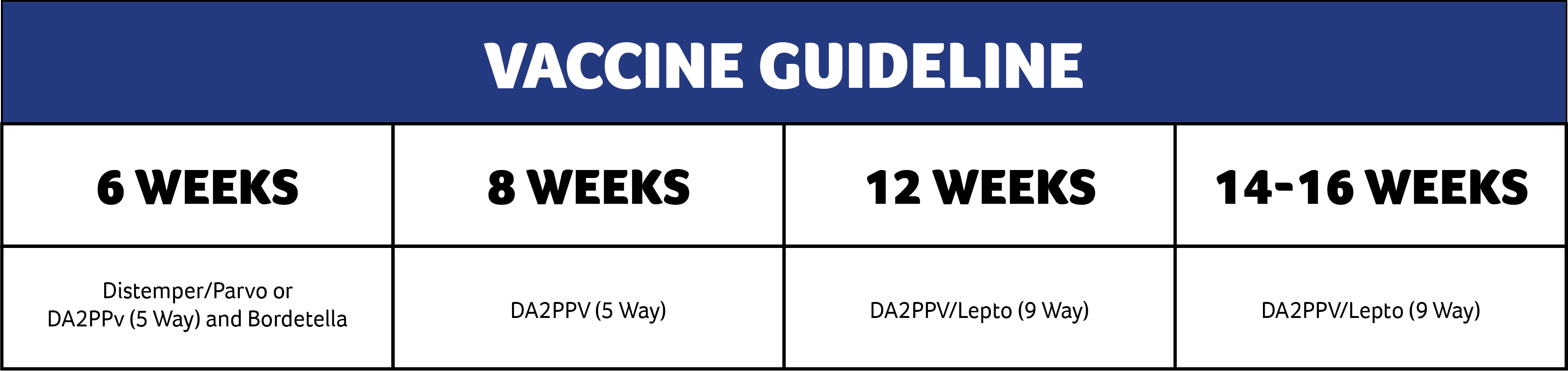 when should newborn puppies be vaccinated